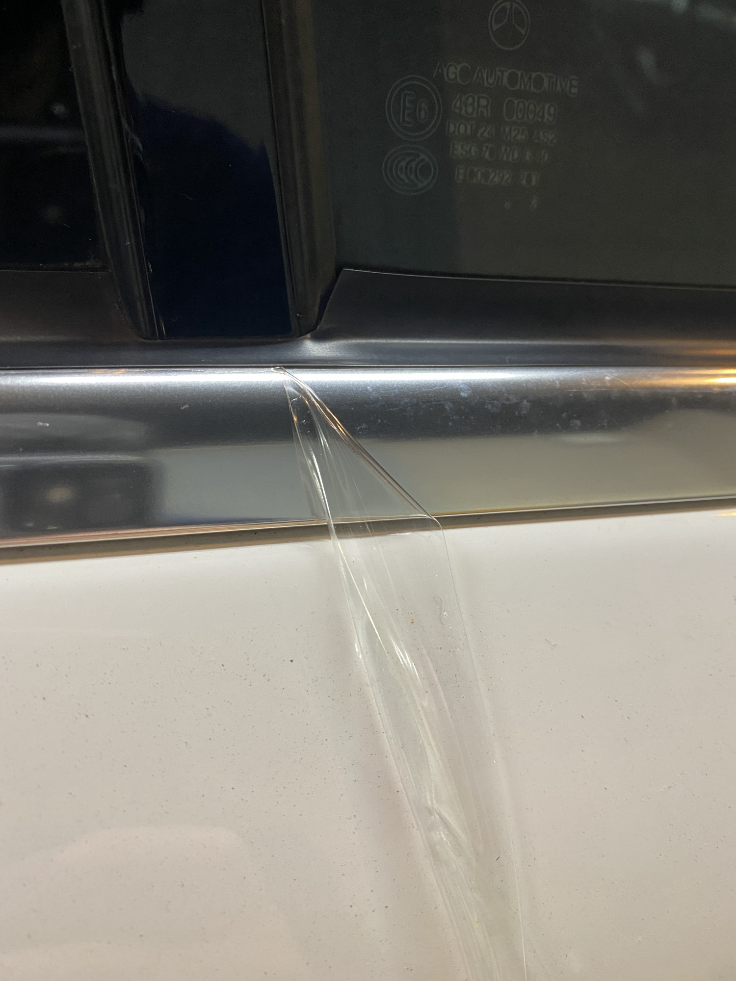 mold06.jpg