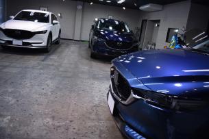 cx5x3.jpg