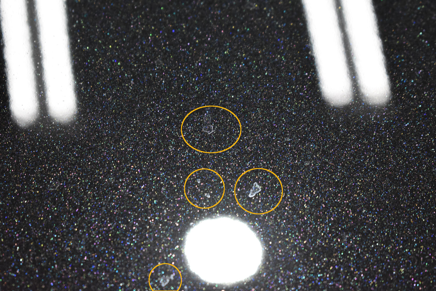 1650517980.jpg