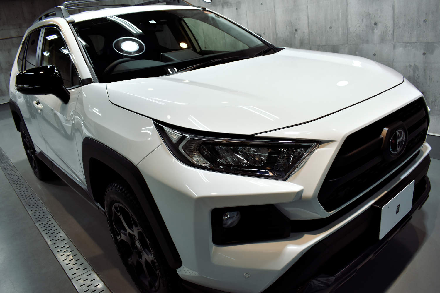 RAV12