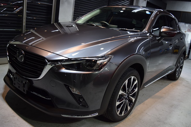 cx-3-02 DSC_0234