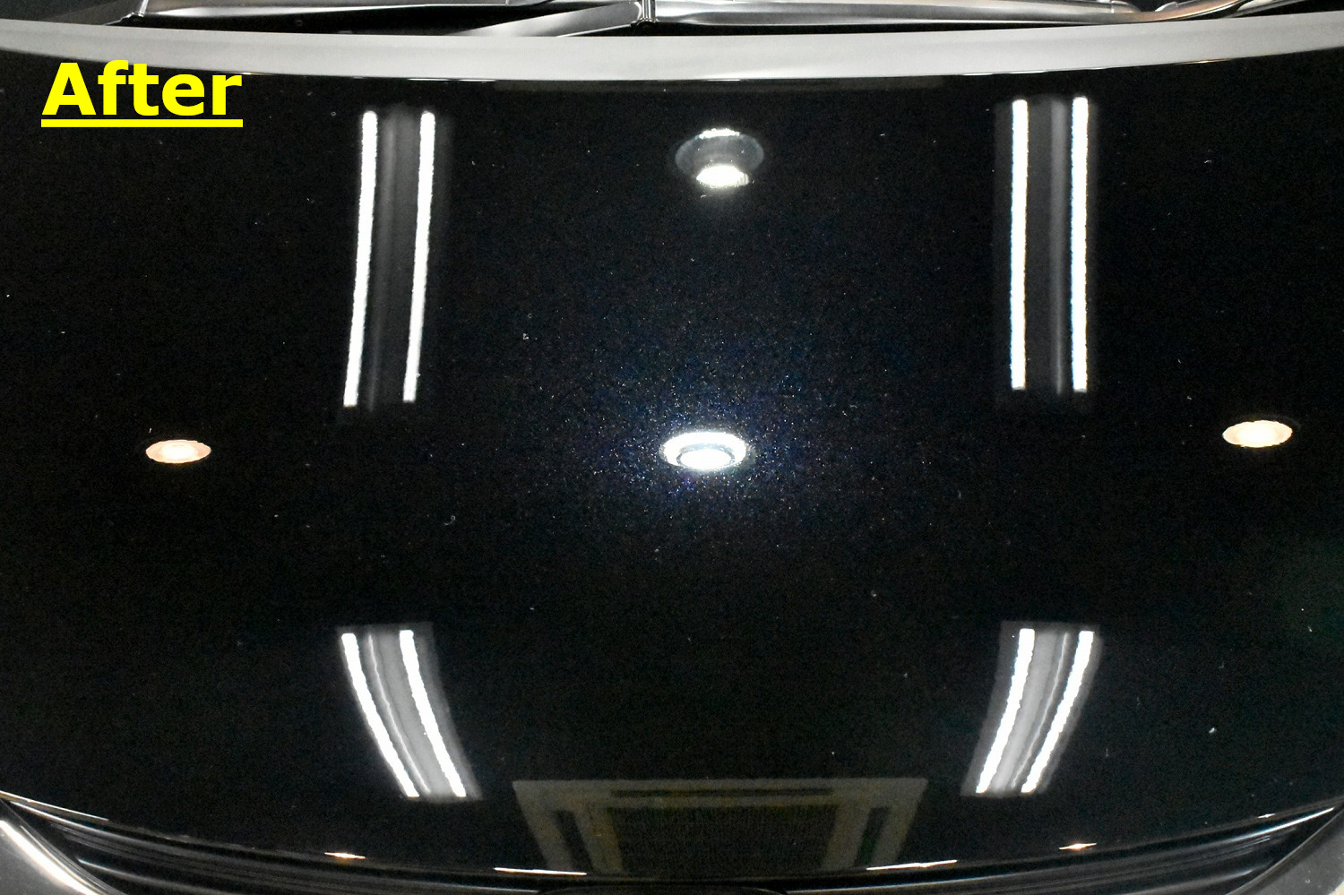 20211015odyssey_bonnet_a.jpg