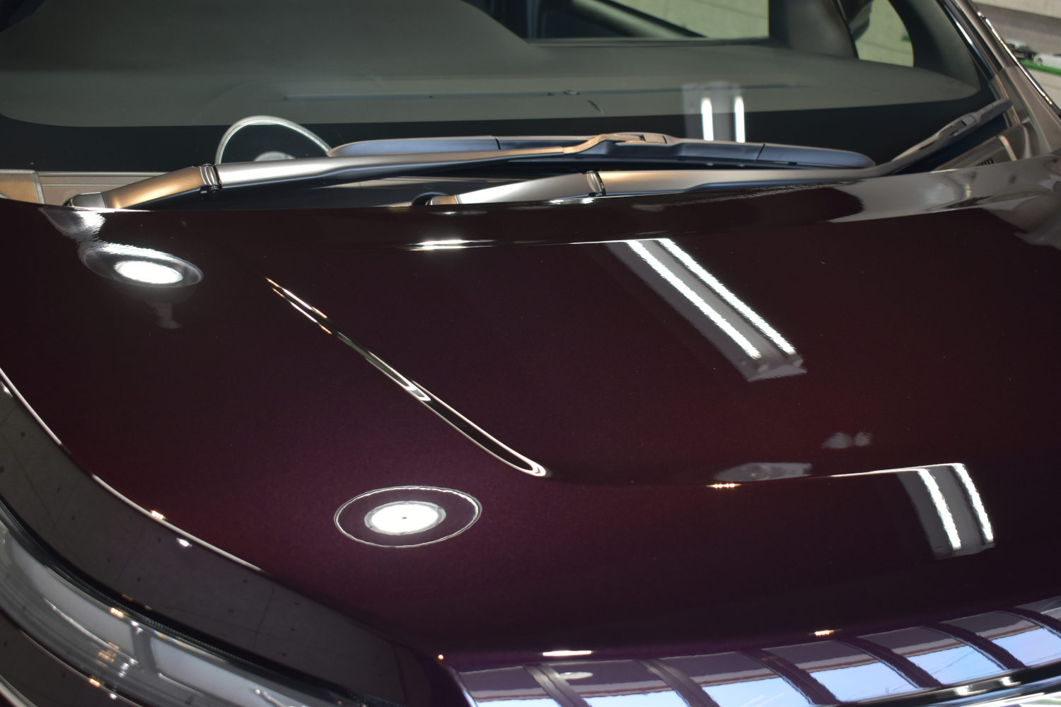 ヴォクシー下地後