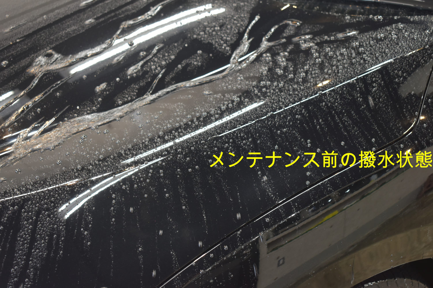 シビック-撥水-1