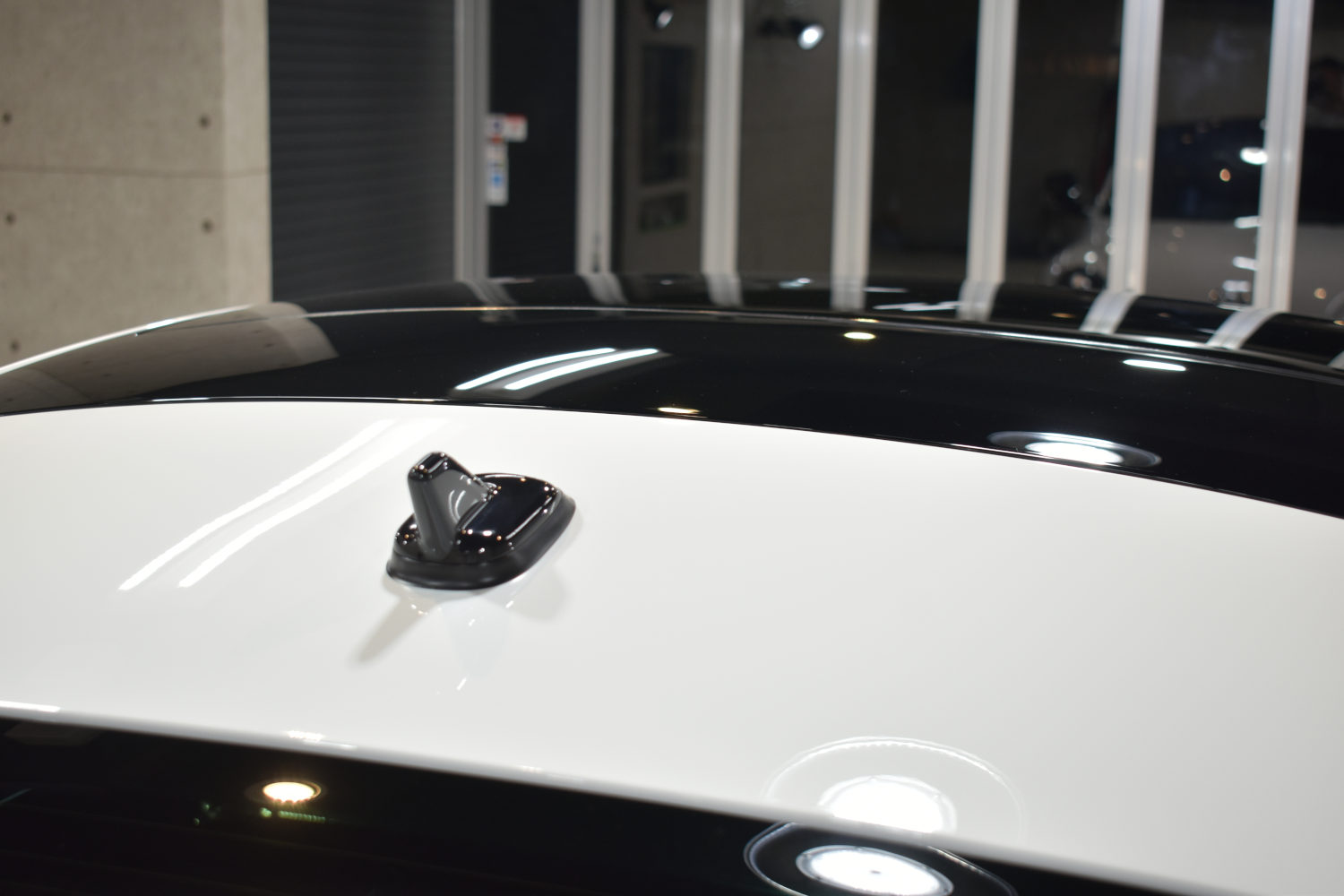 ザ・ビートル-10