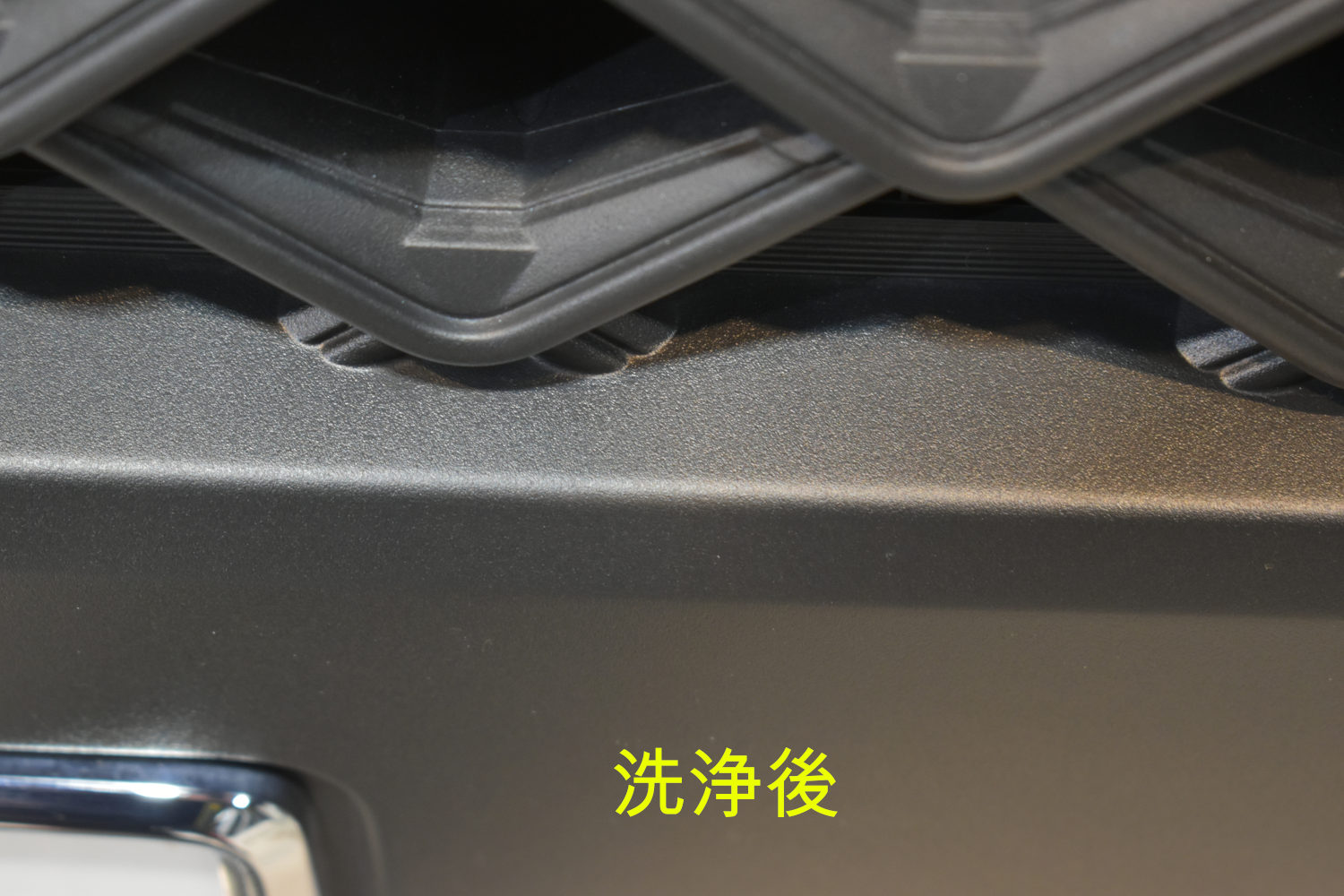 ルーミー洗浄後-2