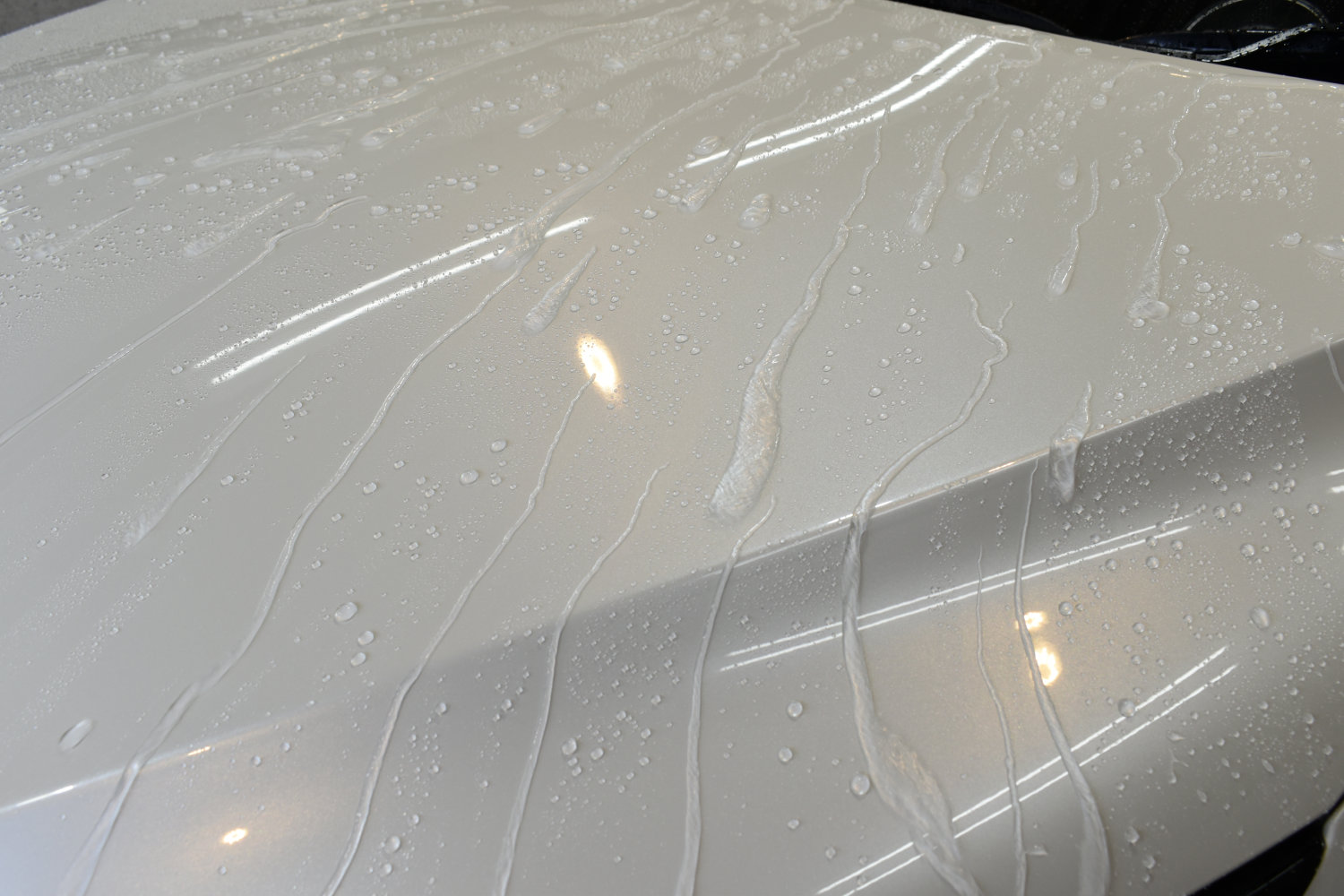 ハリアー撥水-1