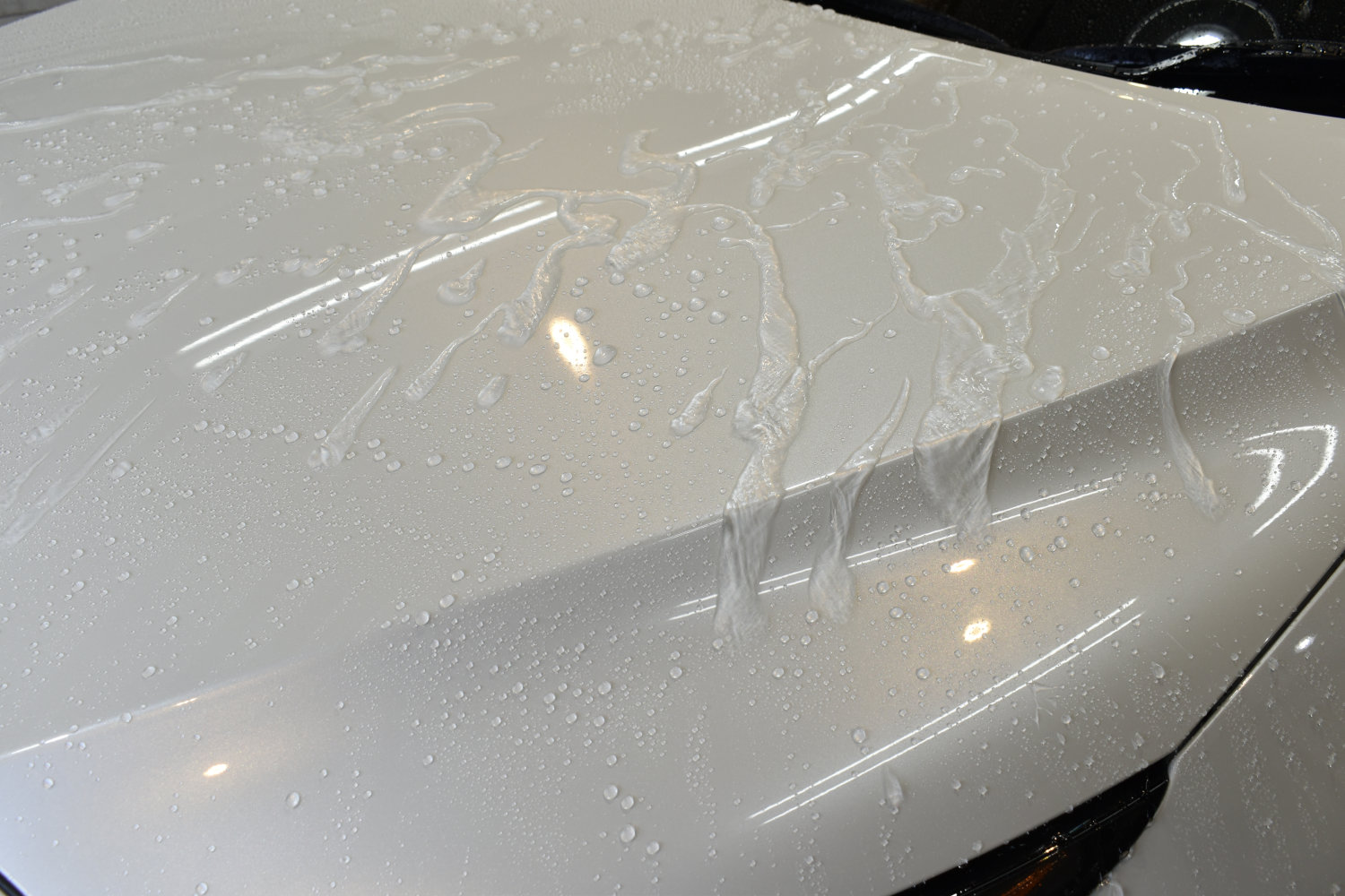 ハリアー撥水-2