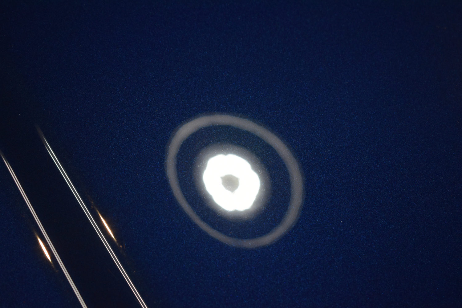 センチュリーボンネット-1