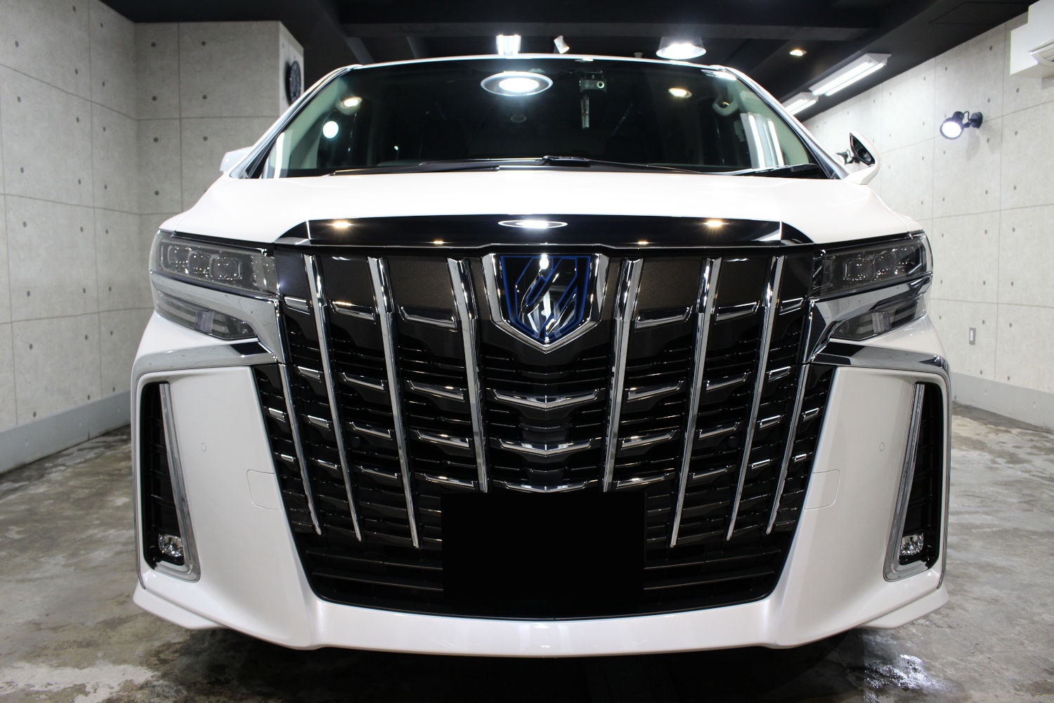 アルファード-4