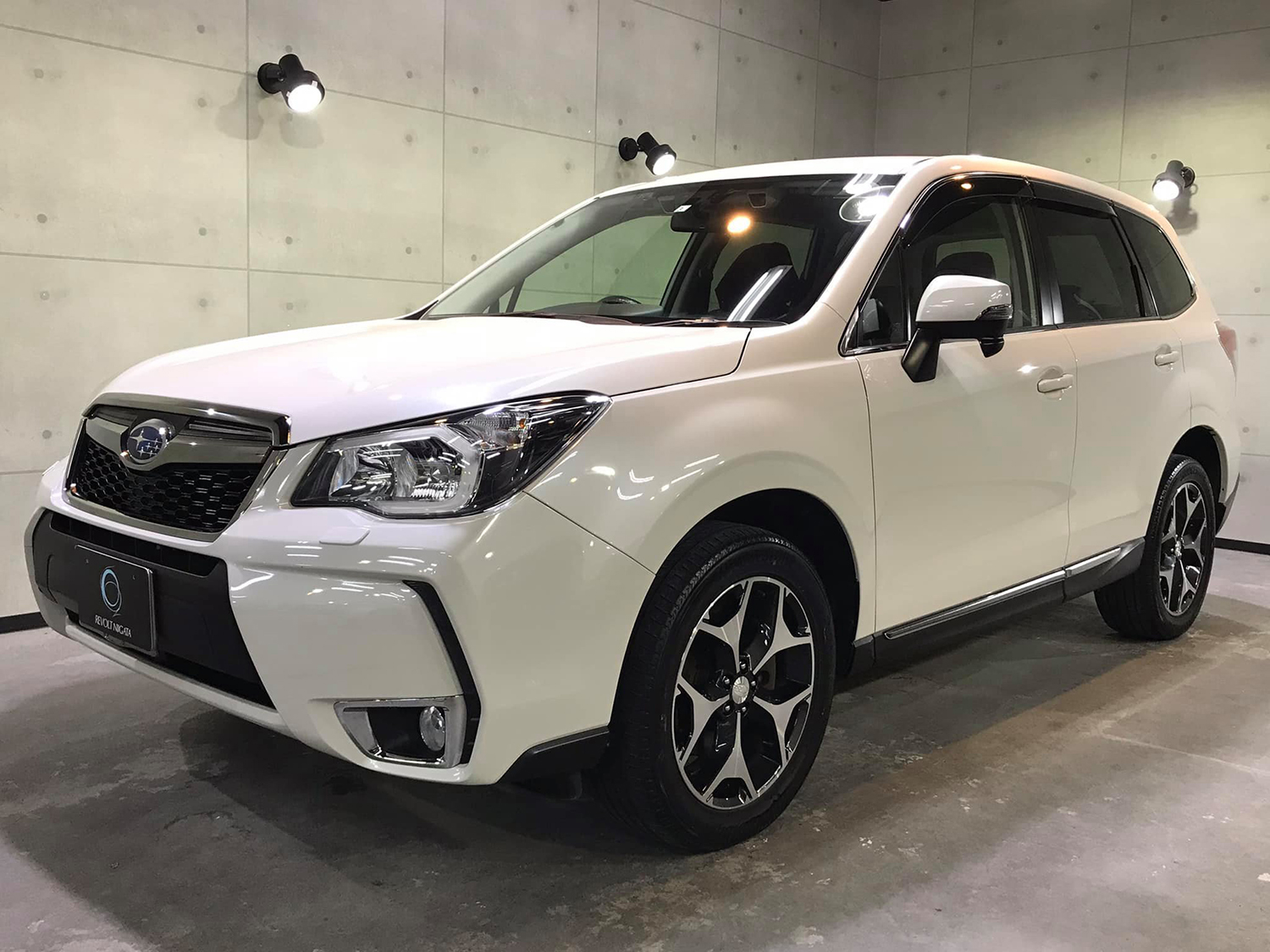 forester14.jpg