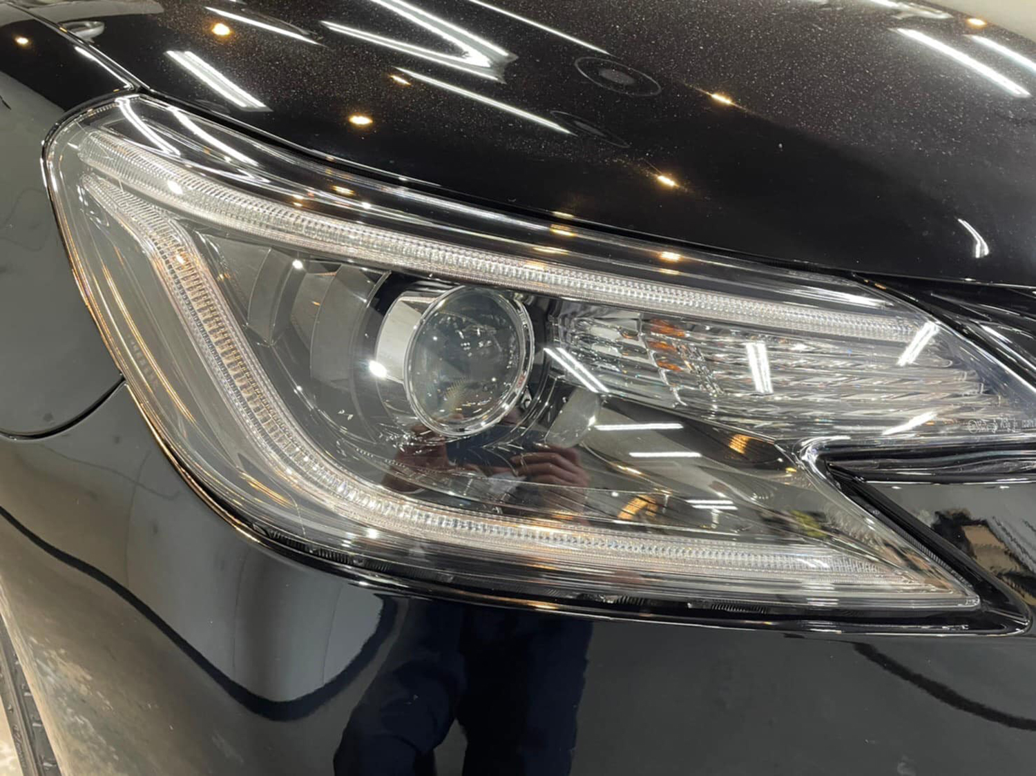 headlight6.jpg