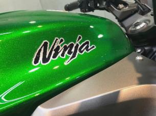 ninja1000-08.jpg