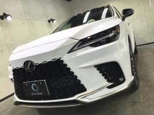 lexusnxrx_2.jpg