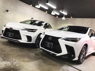 lexusnxrx_6.jpg