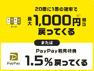 PayPay-1