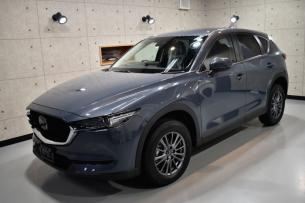 CX5-11