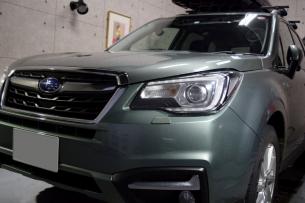 FORESTER 1