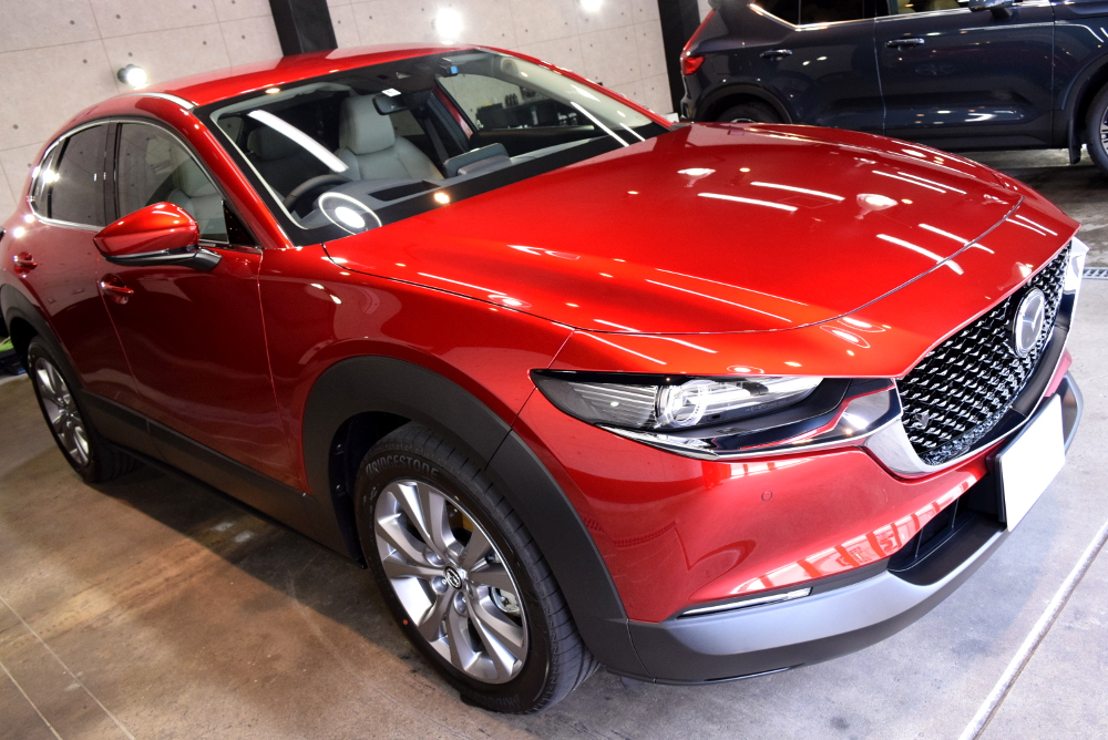 CX-30-1