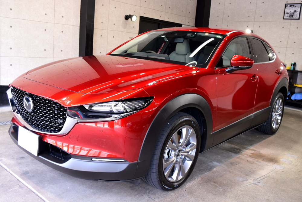 CX-30-2