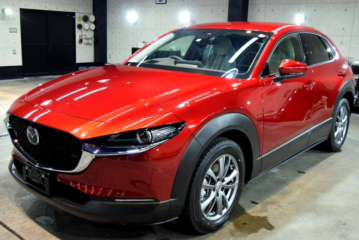 CX-30-1