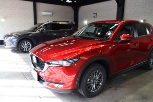 CX-5＆CX-8-1