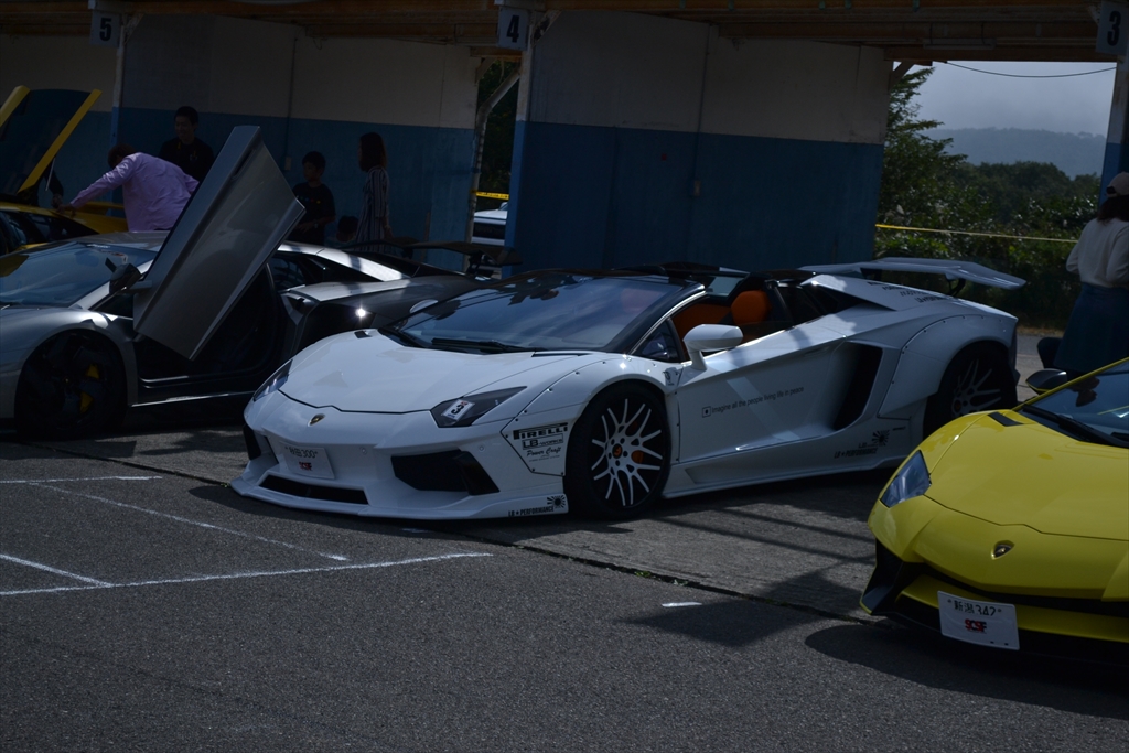 dsc_0144_r.jpg